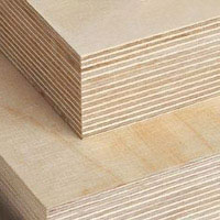 Contreplaqué multicouches Peuplier 10mm